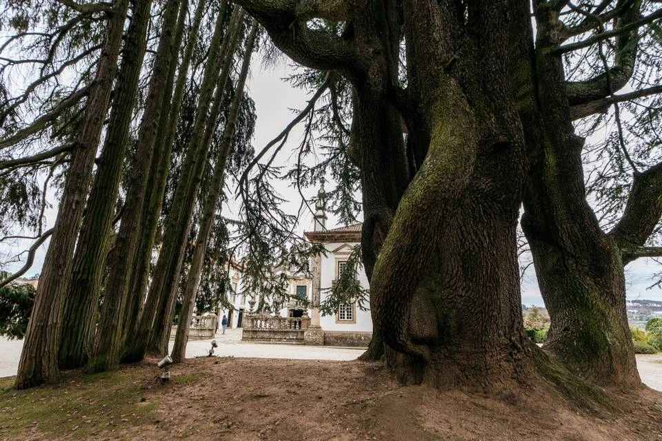 Guided Tour of Mateus Palace