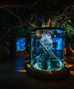 iSee Malta: Leisure Pass
