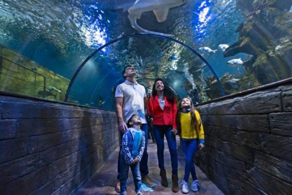 iSee Malta: Leisure Plus Pass