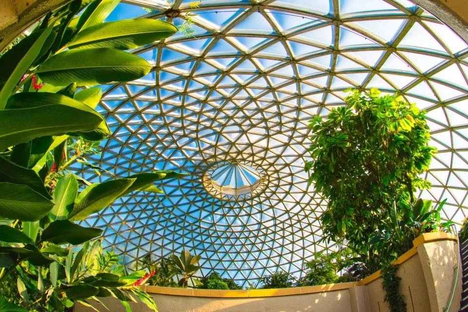 Brisbane Half Day Guided Sightseeing Tour