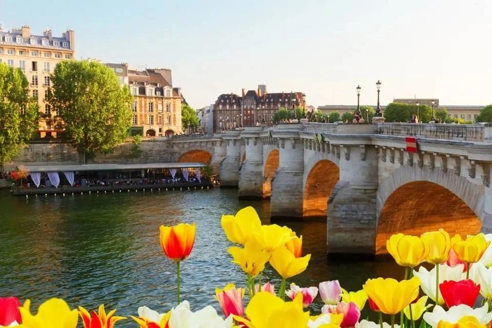 Day Trip to Paris and Self-Guided Walking Tour from Amsterdam