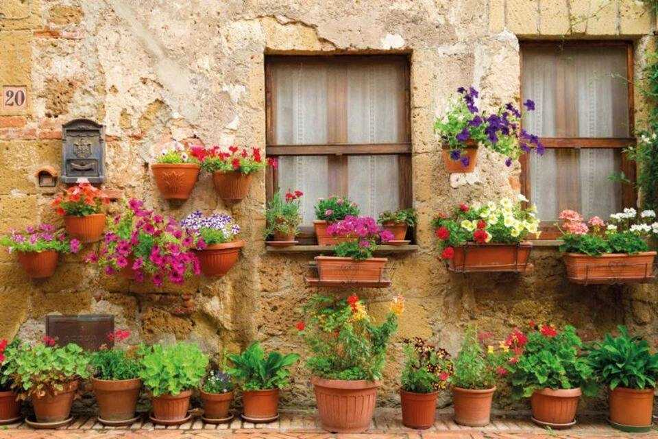 Chianti Brunch Tour Including Lunch and Wine Tasting