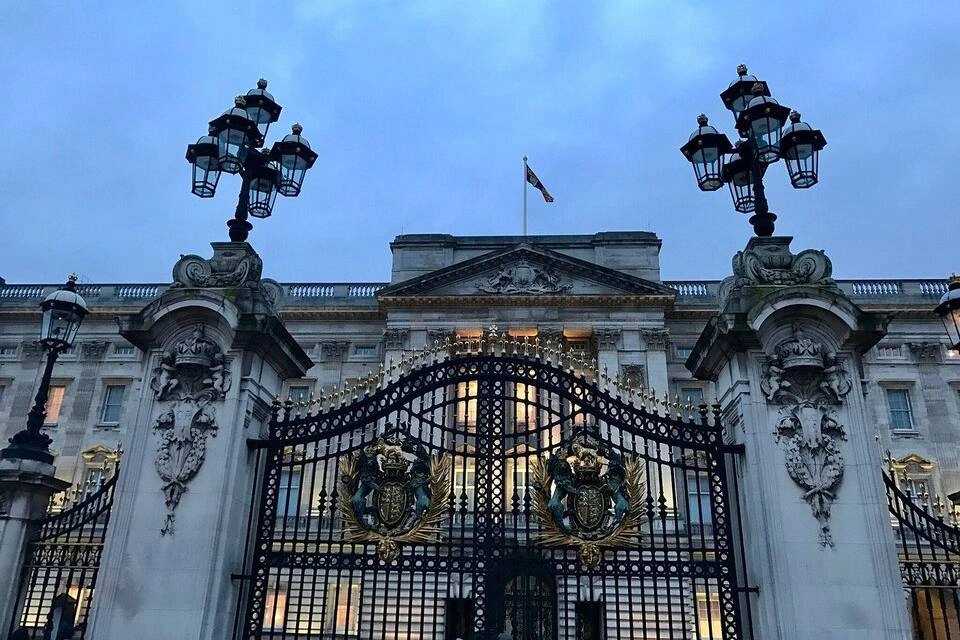 Entry Ticket to The Buckingham Palace + Royal Mews Entry