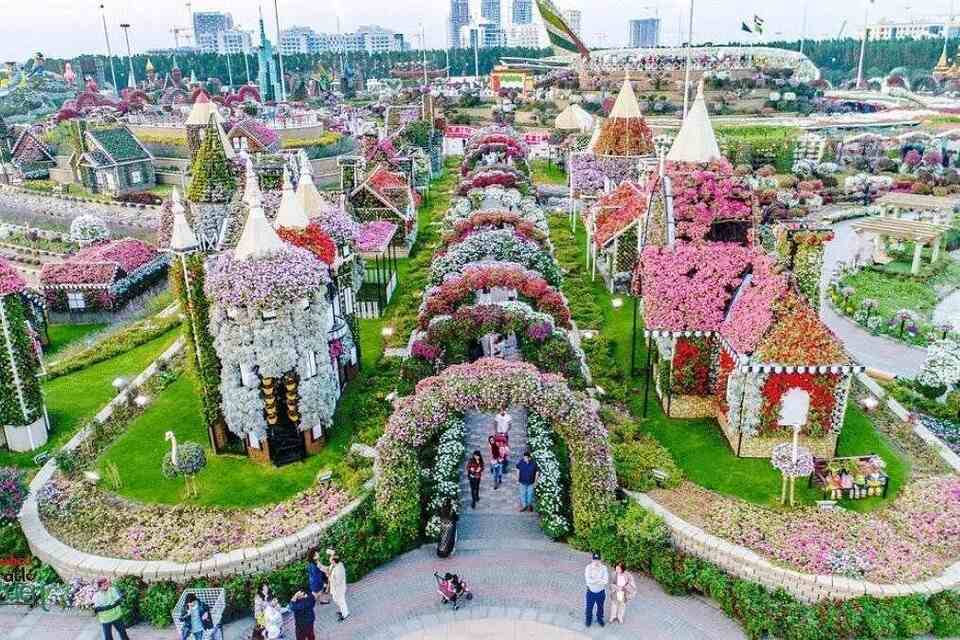 Dubai Miracle Garden and Butterfly Garden Entrance Ticket