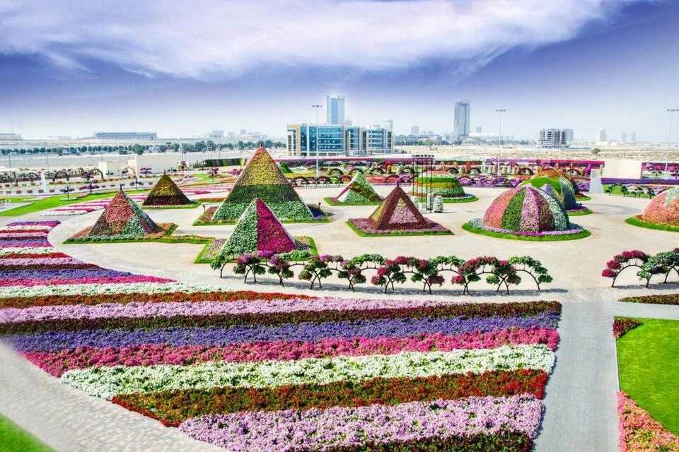 Dubai Miracle Garden and Butterfly Garden Entrance Ticket