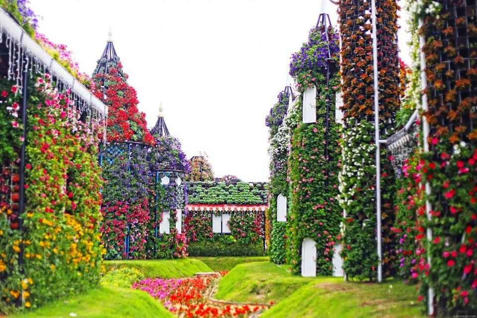 Dubai Miracle Garden and Butterfly Garden Entrance Ticket