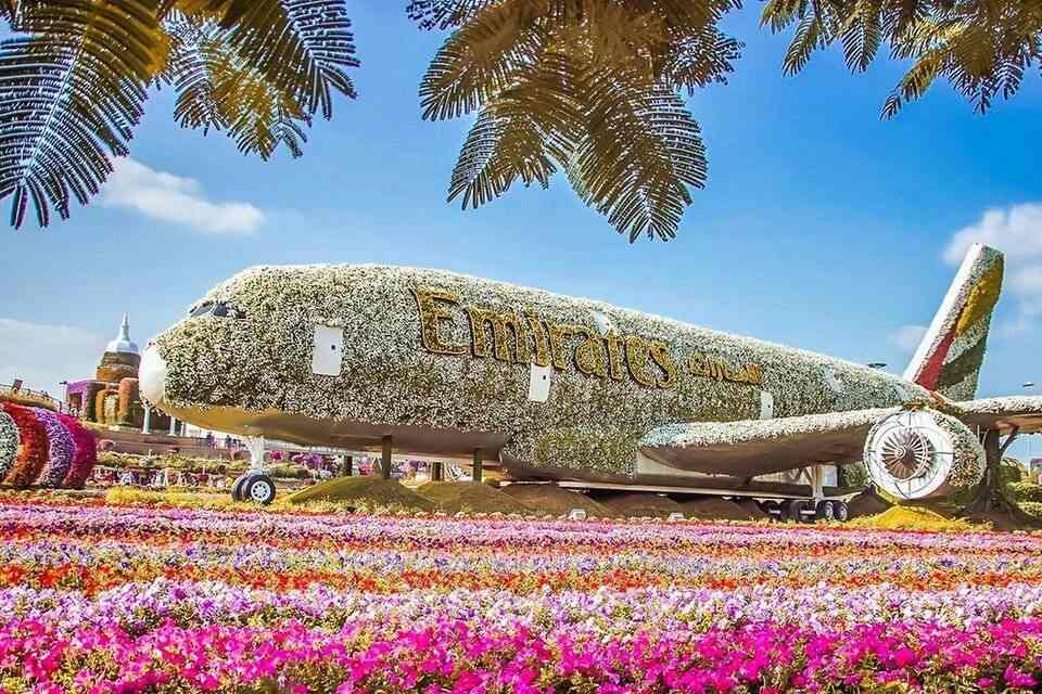 Dubai Miracle Garden and Butterfly Garden Entrance Ticket