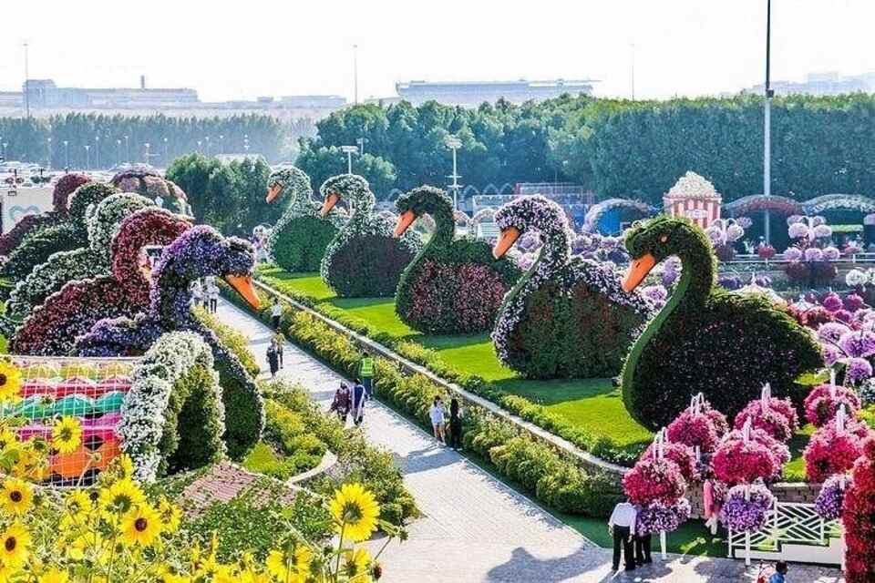 Dubai Miracle Garden and Butterfly Garden Entrance Ticket