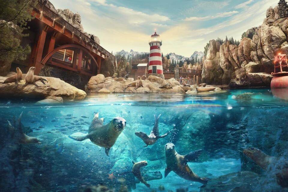Abu Dhabi Seaworld and Grand Mosque Tour