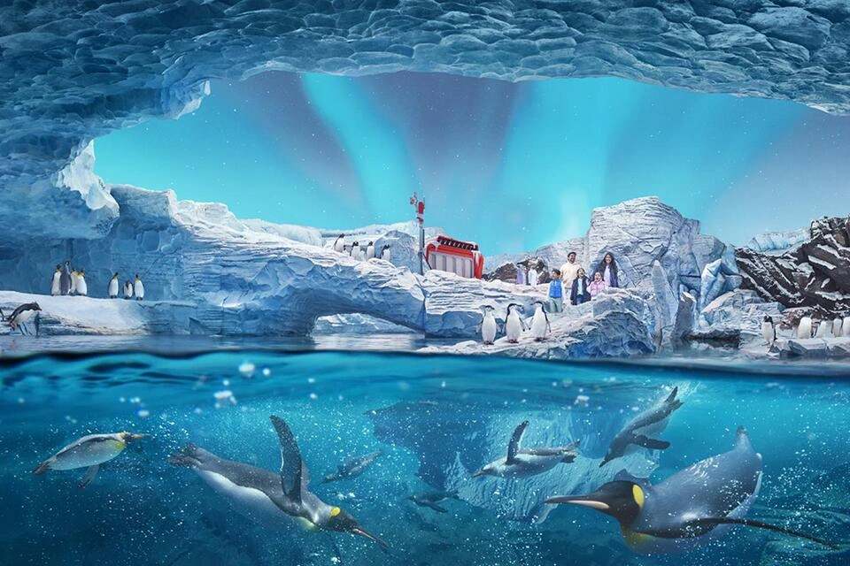 Abu Dhabi Seaworld and Grand Mosque Tour