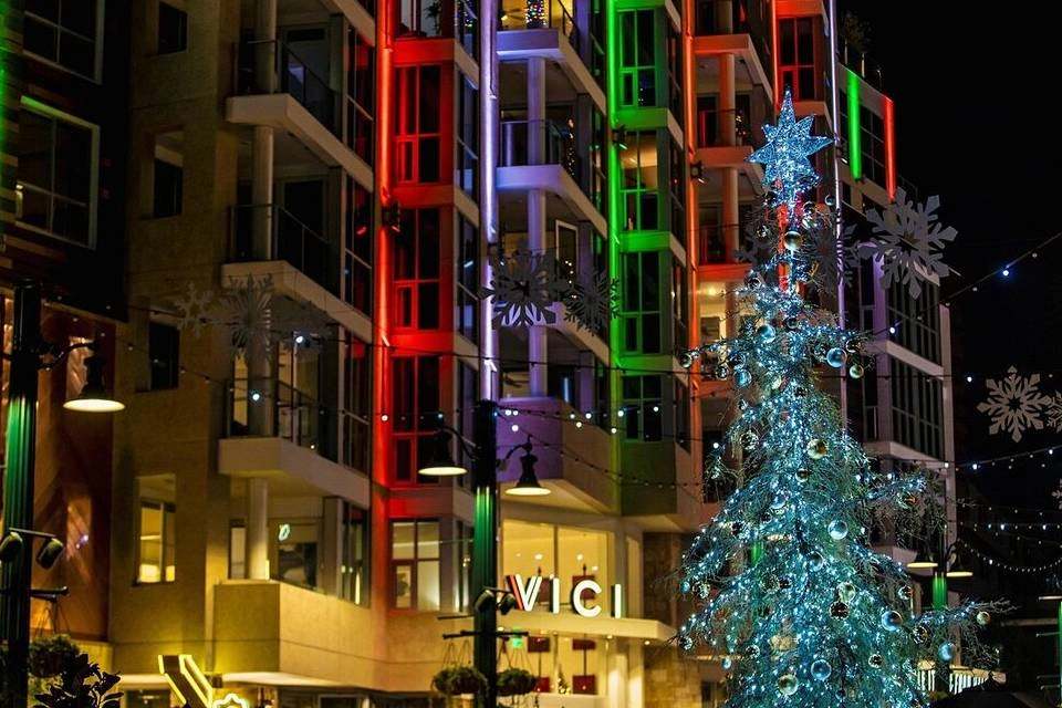 Savannah Holiday Sights and Festive Nights Tour Ticket