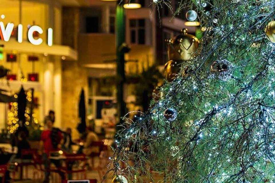San Diego Holiday Sights and Festive Night Tour