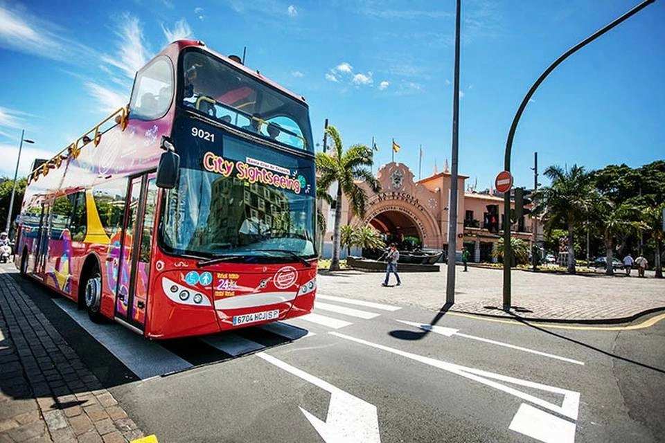 City Sightseeing: Santa Cruz de Tenerife Hop-On, Hop-Off Bus Tour