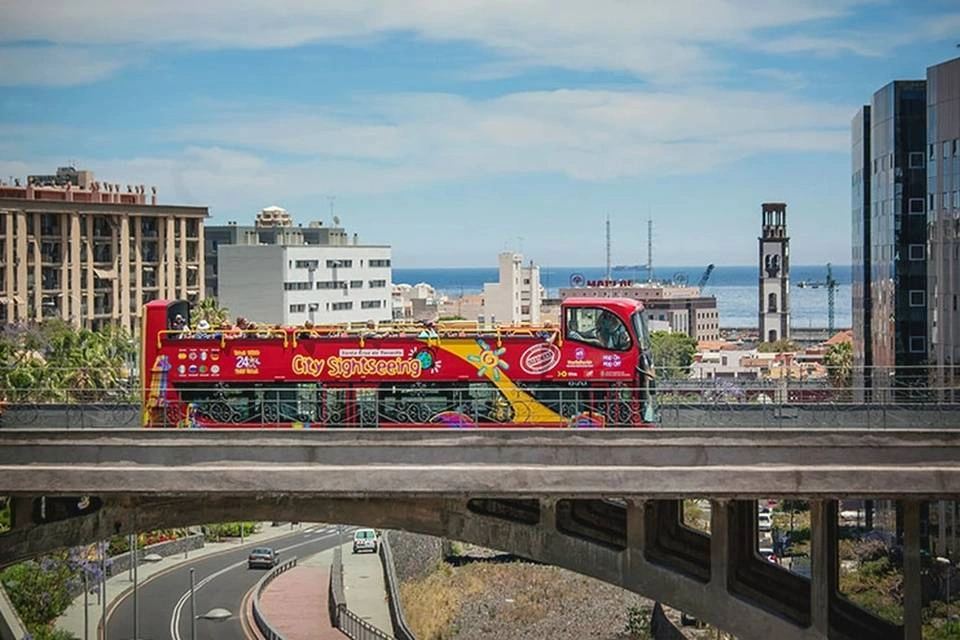 About Santa Cruz de Tenerife Sightseeing Tours About Santa Cruz de Tenerife Sightseeing Tours