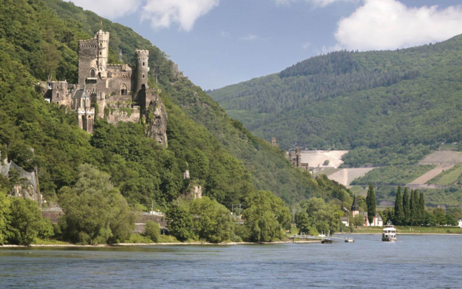 Day Tour to the Rhine Valley with Lunch