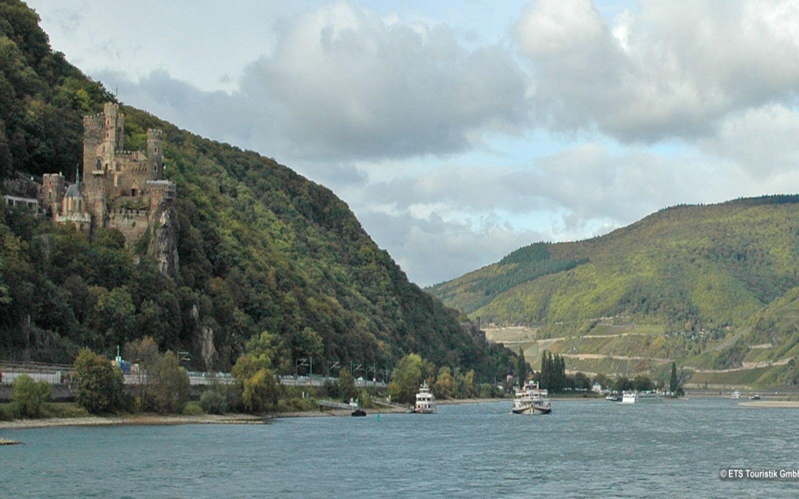 Rhine Valley with Lunch and Wine