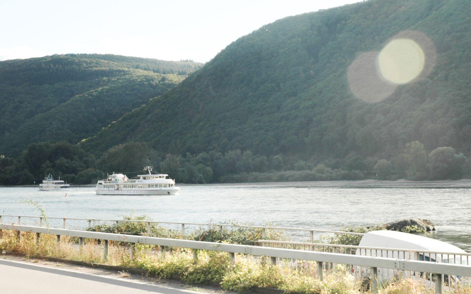Rhine Valley with Lunch and Wine