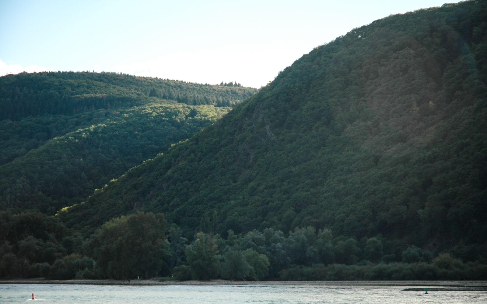 Rhine Valley with Lunch and Wine