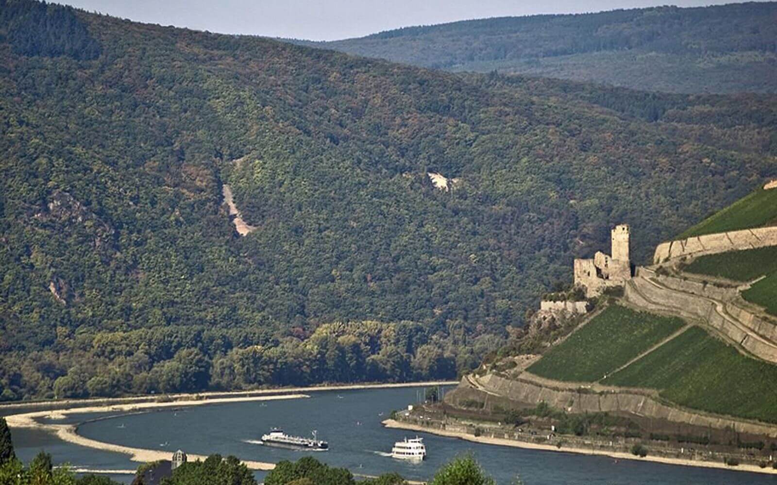 Rhine Valley with Lunch and Wine