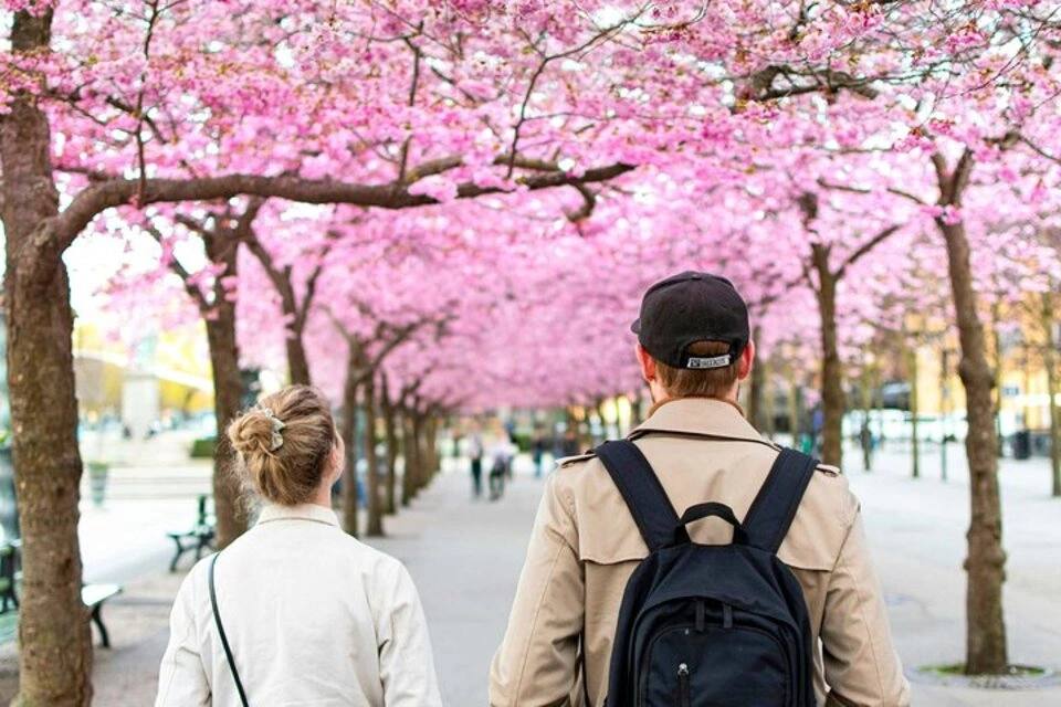 Stockholm City Walking Tour with Audioguide App