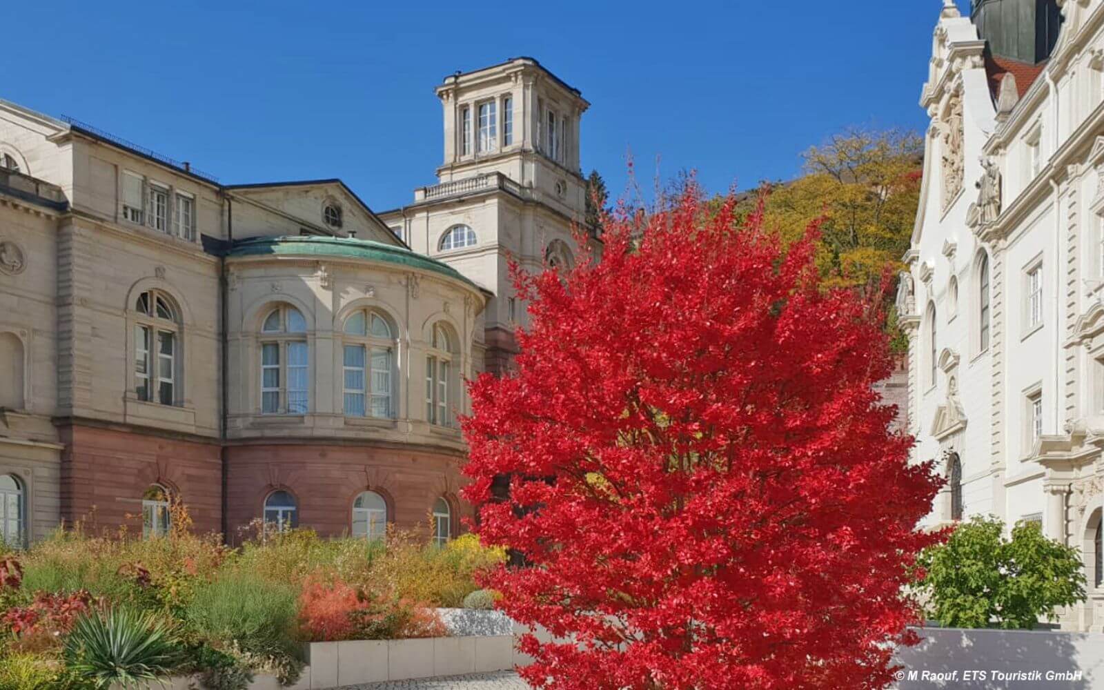 Things To Do In Frankfurt Tours Things To Do In Frankfurt Tours