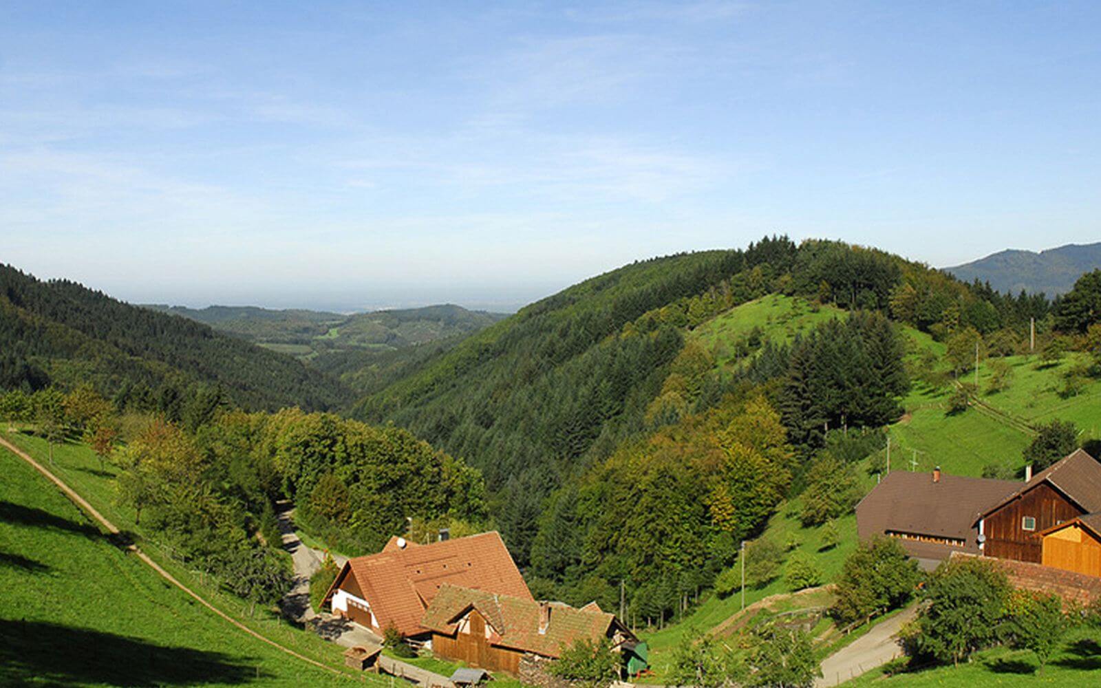 Black Forest
