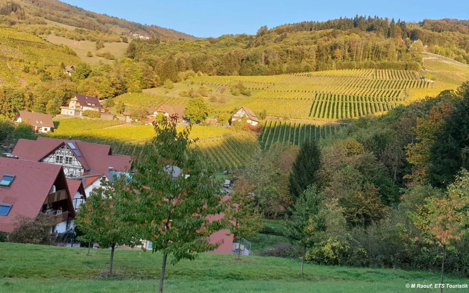 Schwarzwald