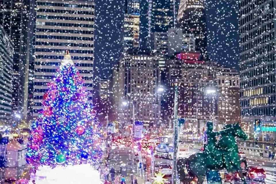 City Sightseeing: Philadelphia Holiday Lights Tour Ticket