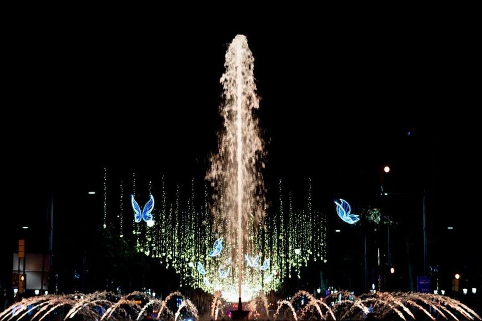 Christmas Lights Tour Barcelona