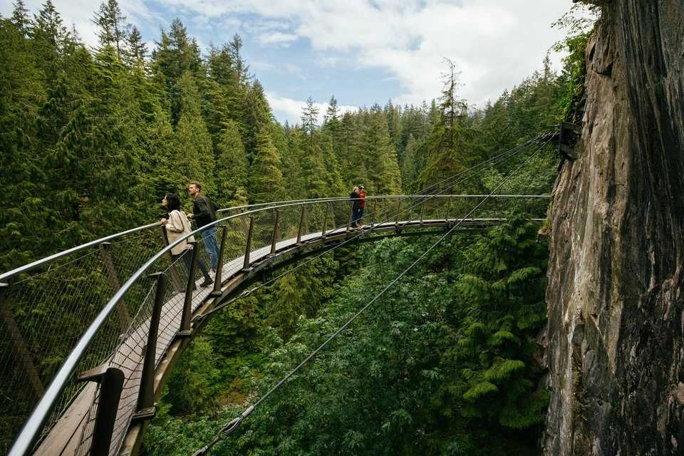 Vancouver City and Capilano Suspension Bridge Tour