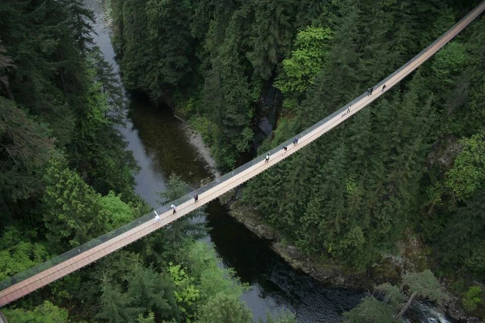 Vancouver City and Capilano Suspension Bridge Tour