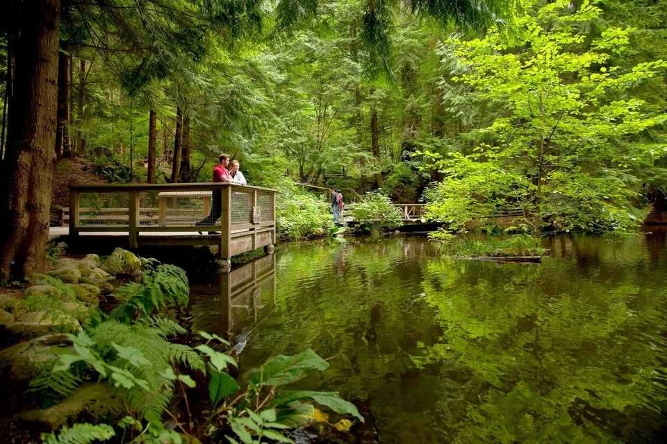 Vancouver City and Capilano Suspension Bridge Tour