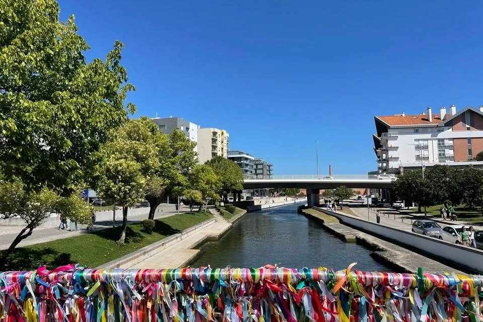 Flavors of Aveiro and Costa Nova