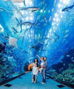 Go City: Dubai Highlights Pass