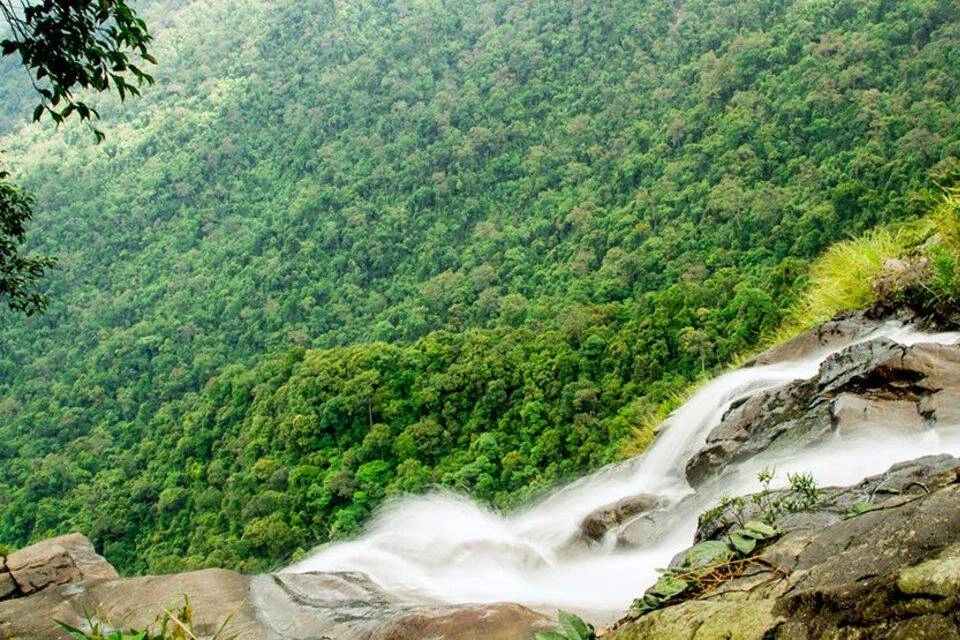 Full-Day Bach Ma National Park Trek and Beach Retreat