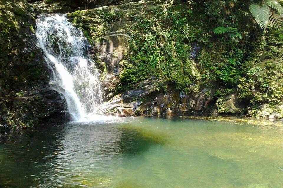 Full-Day Bach Ma National Park Trek and Beach Retreat