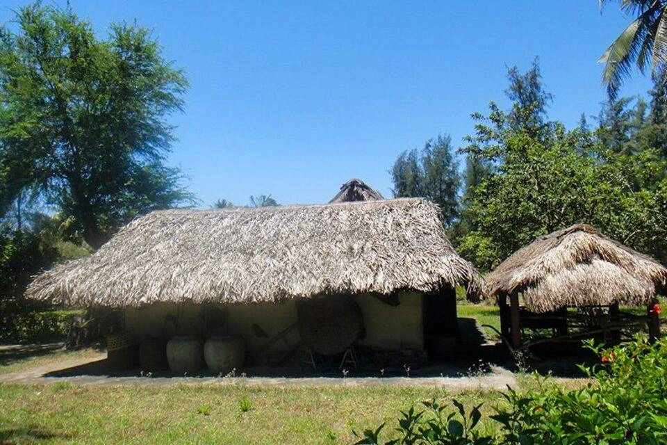 Full-Day My Lai Massacre Memory Tour