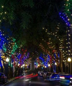 Yellow Bus: Funchal Christmas Lights Tour
