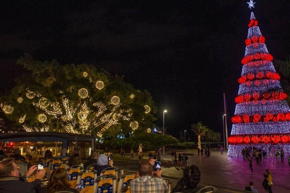 Yellow Bus: Funchal Christmas Lights Tour