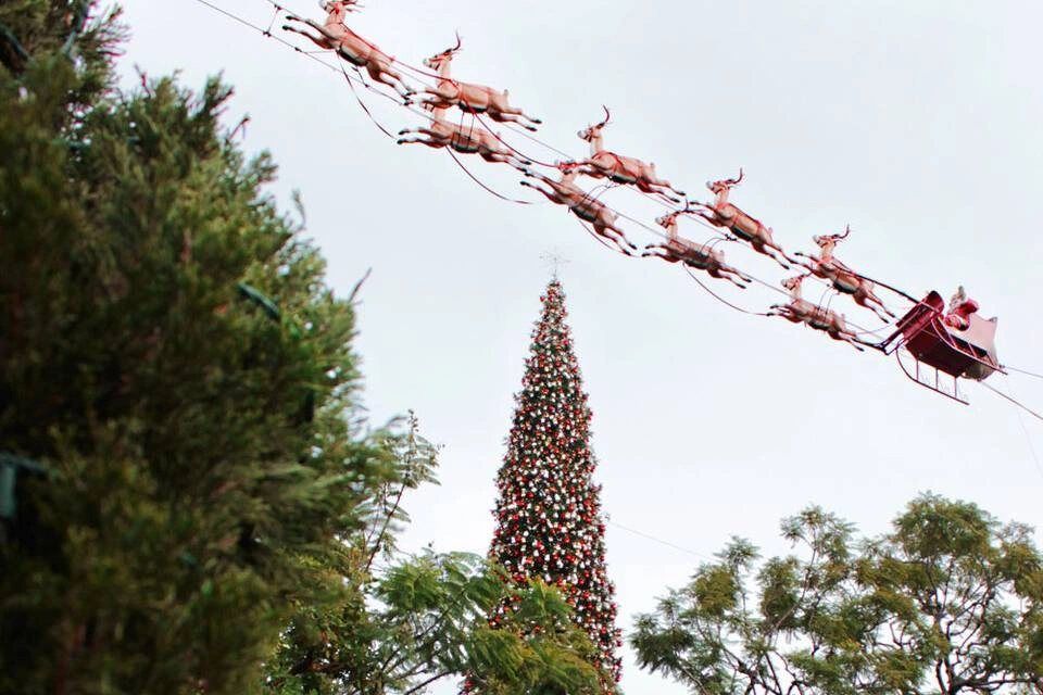 Big Bus: Los Angeles Holidays Lights Tour
