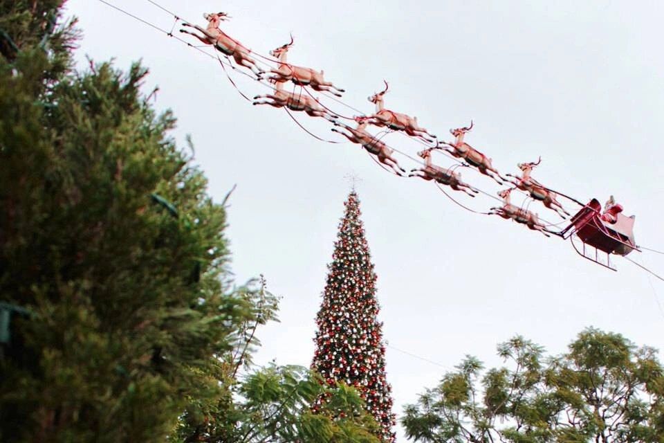 Big Bus: Los Angeles Holidays Lights Tour