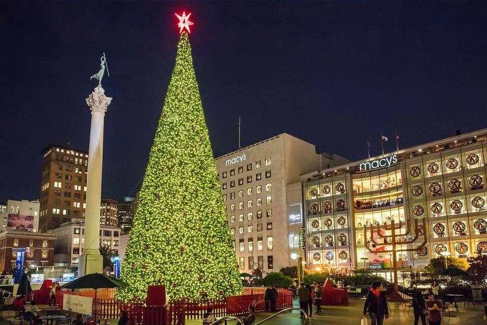 Big Bus: San Francisco Holiday Lights Tour