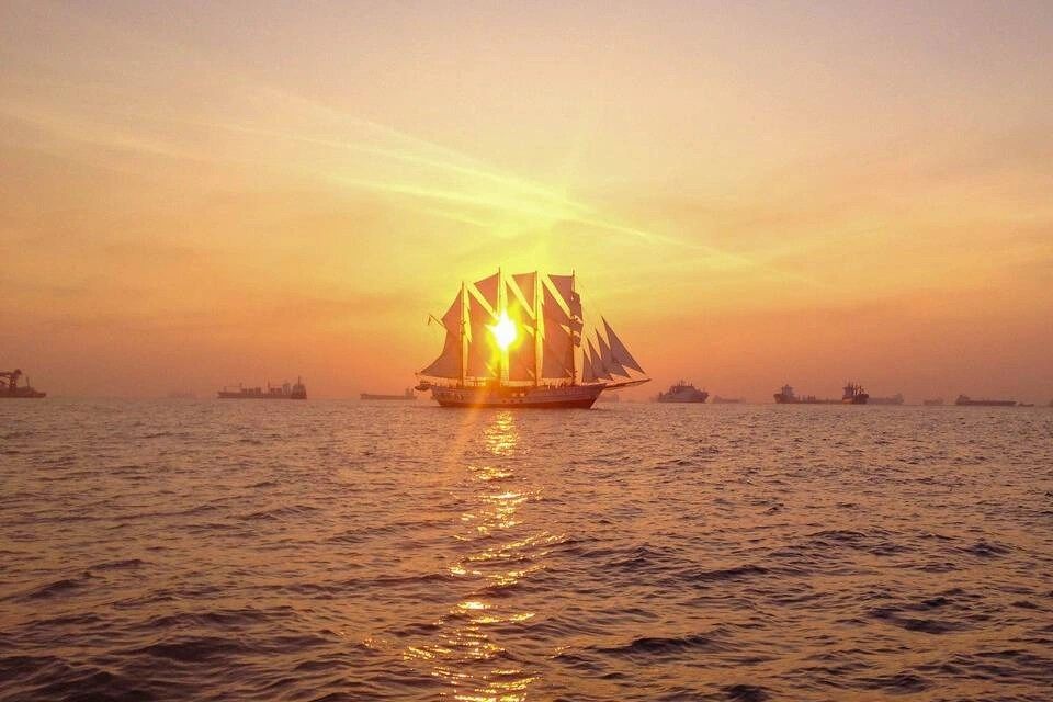 Tall Ship: Royal Albatross New Year's Eve Dinner Cruise