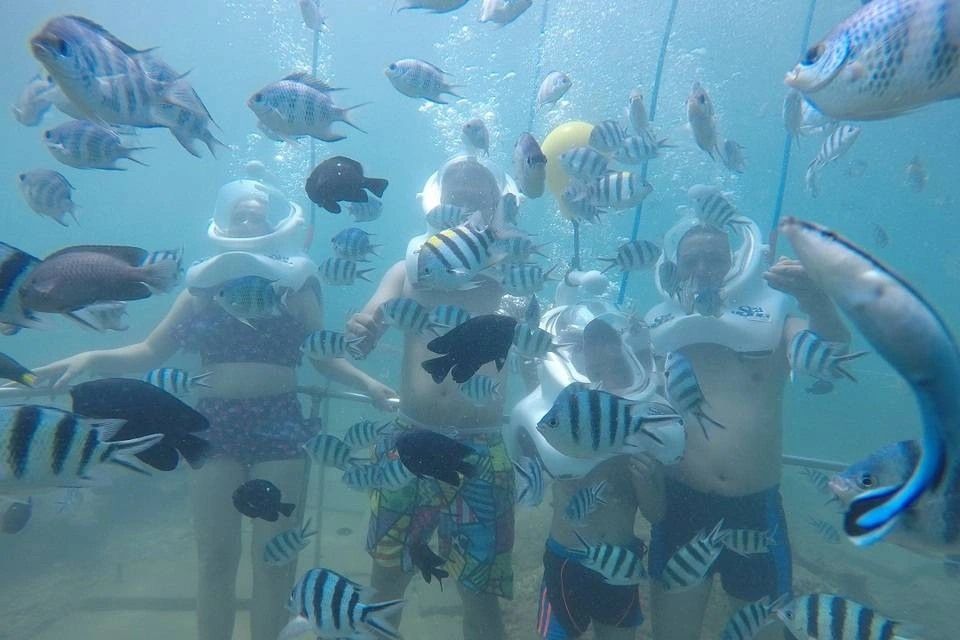 Full-Day Cham Islands Cruise from Hoi An with Underwater Walking Excursion