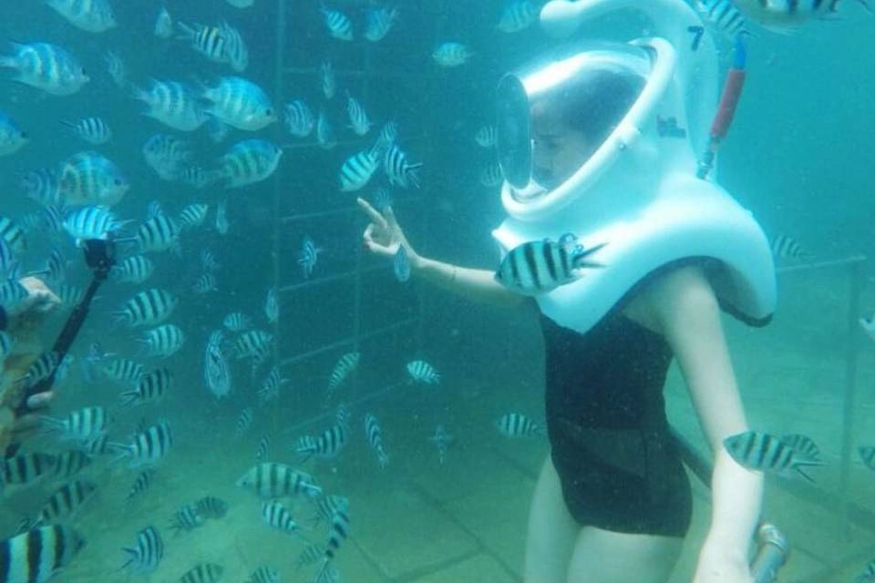 Full-Day Cham Islands Cruise from Hoi An with Underwater Walking Excursion