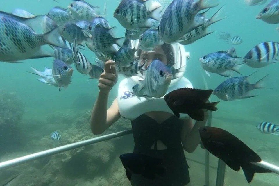 Cham Island Sea Trek and Snorkeling by Speedboat