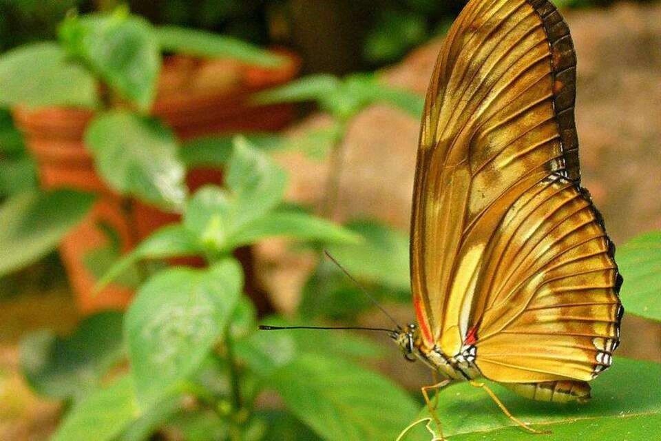 Natural Diversity Exploration at the Iguazu Biocenter