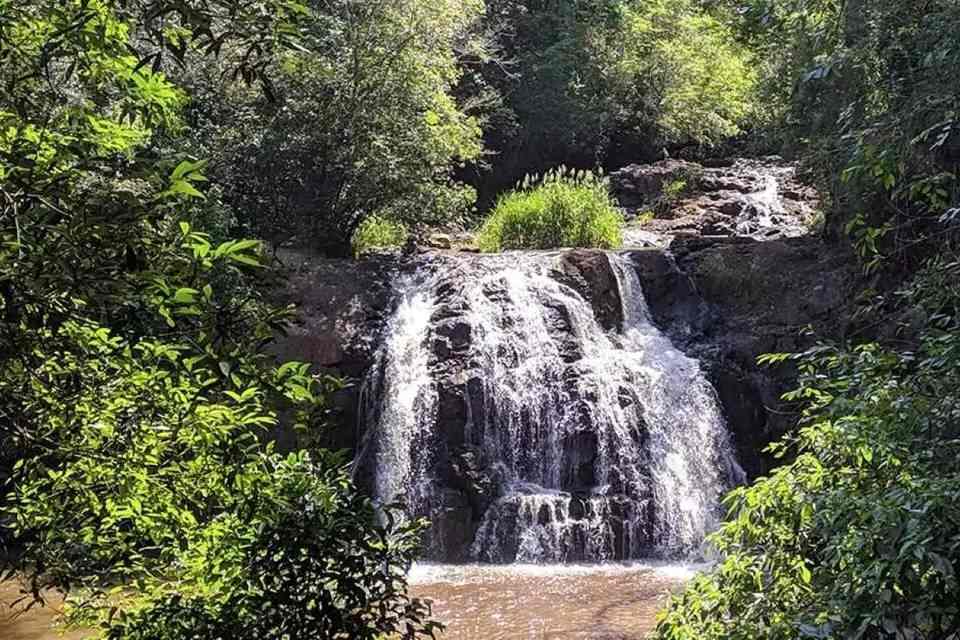 Bike Tour Iguazu: Adventure and Nature in the Missionary Jungle