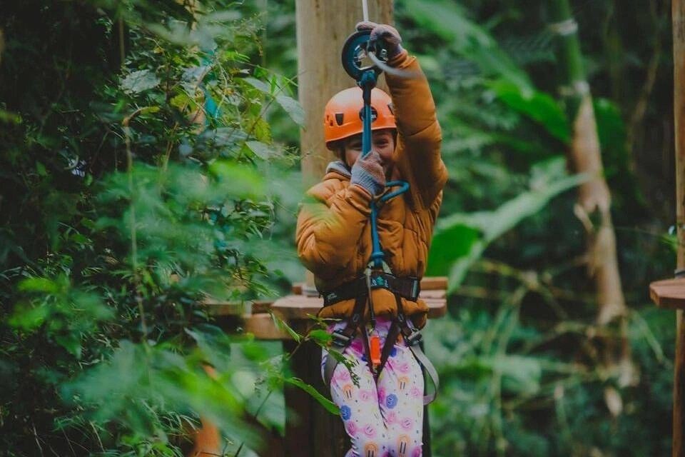 Fly Park Iguazu: Extreme Adventure in the Heights of the Misiones Jungle