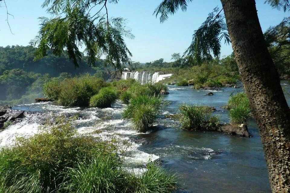 Puerto Iguazu: A Nautical Tour through the Jungle and the Borders of Three Nations